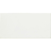 Seinälaatta Laattapiste LPC Listelo matta tasapintainen Blanco Mate 20x10cm