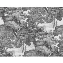 Tapetti Rebel Walls Saint Sebastian Graphite, 0.50x10m, non-woven