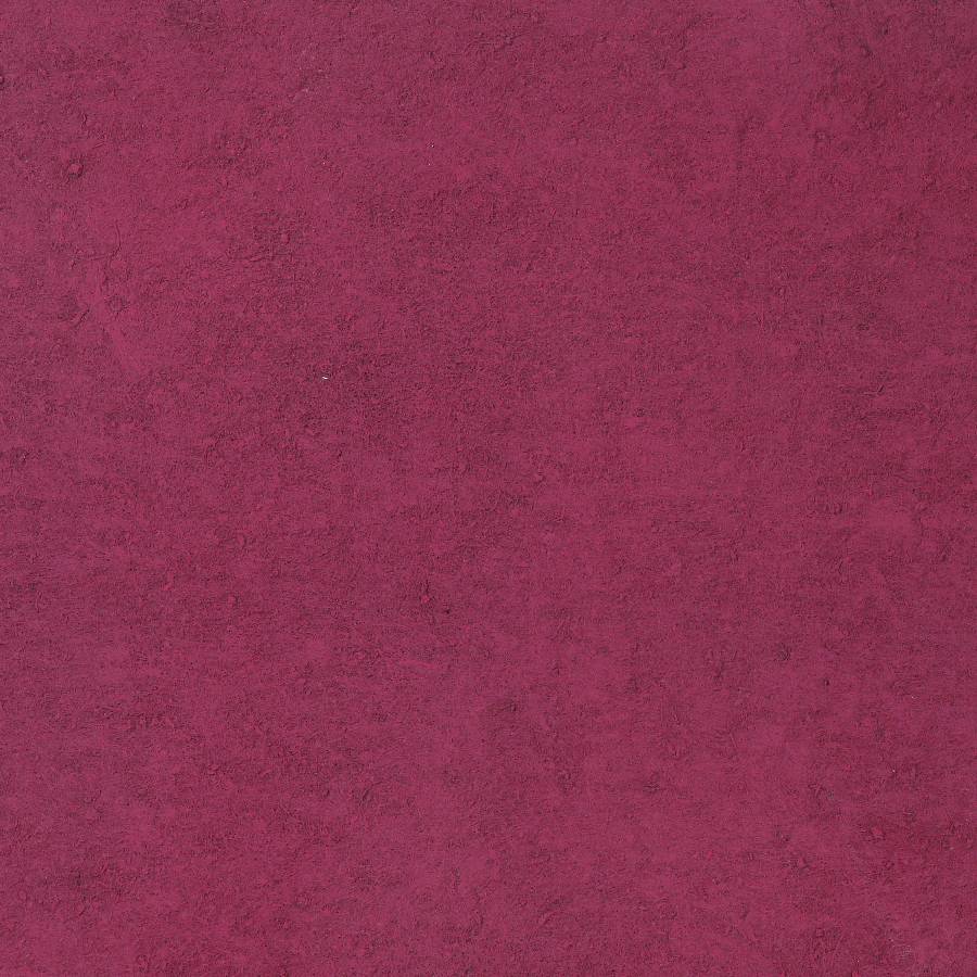 Telemagenta RAL4010