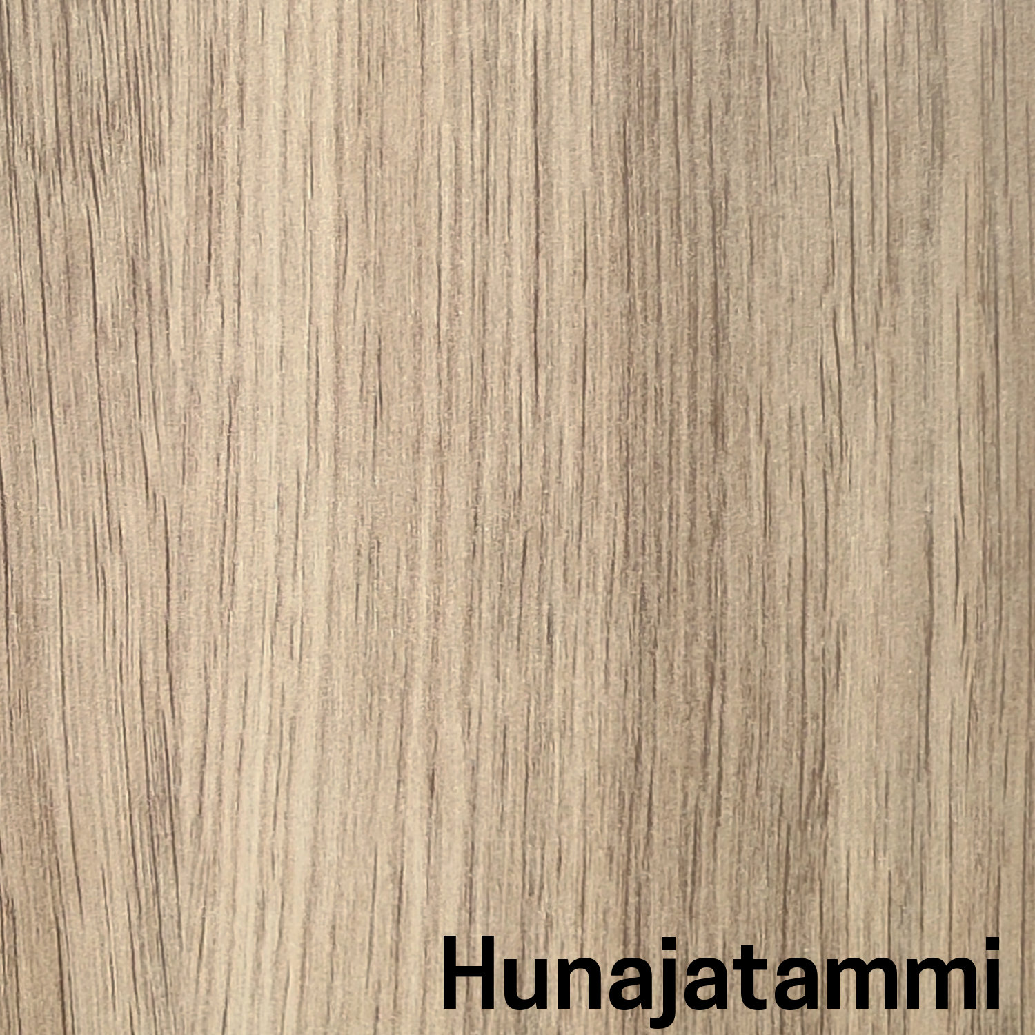 Hunajatammi