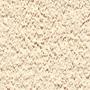 CL305 (S 1015-Y50R)