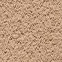 CL423 (S 3020-Y50R)