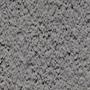 CL442 (S 4502-Y)
