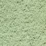 MD241 (S 2020-G20Y)