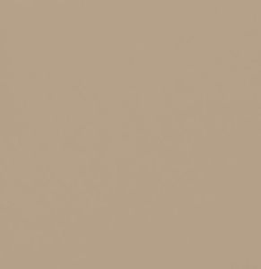 Beige NCS S 4010-Y30R