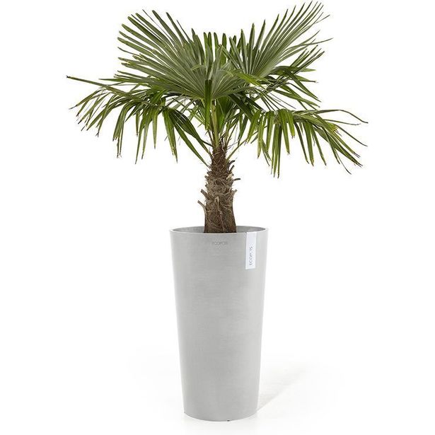 Kukkaruukku Ecopots Amsterdam keskikorkea, 66cm