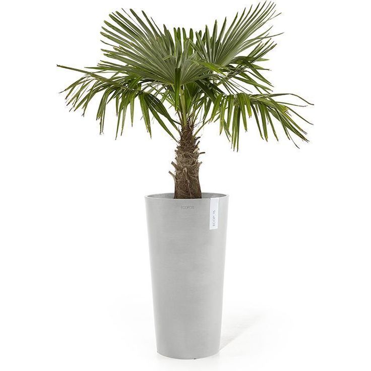 Kukkaruukku Ecopots Amsterdam keskikorkea, 66cm