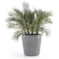 Kukkaruukku pyörillä Ecopots Amsterdam, eri kokoja ja värejä