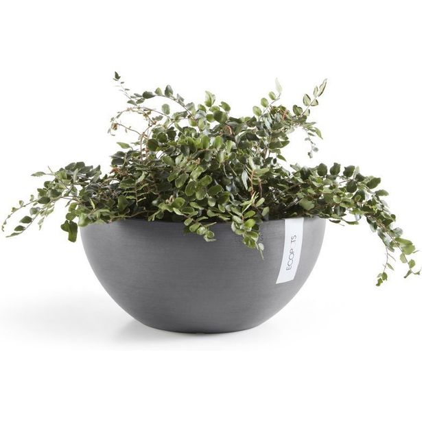 Kukkaruukku Ecopots Brysseli
