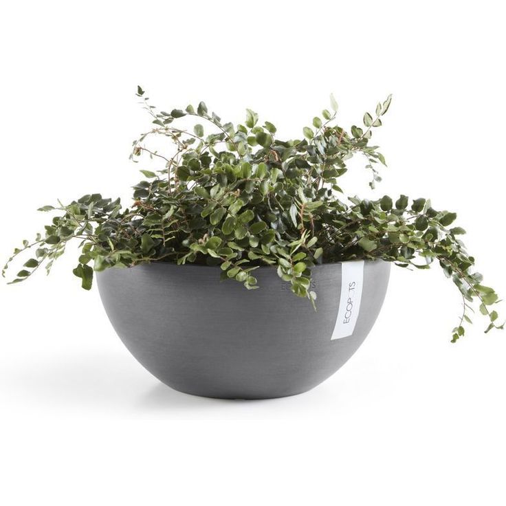 Kukkaruukku Ecopots Brysseli