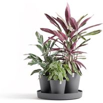 Kukkaruukku Ecopots Dubai, 56cm, eri värejä