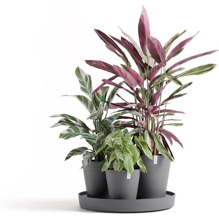 Kukkaruukku Ecopots Dubai