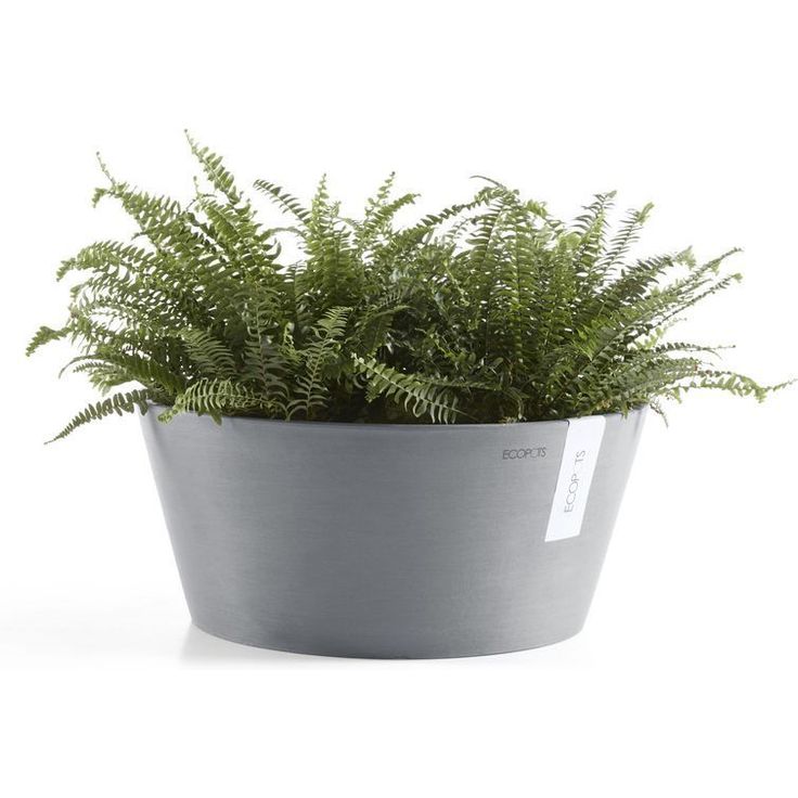 Kukkaruukku Ecopots Frankfurt