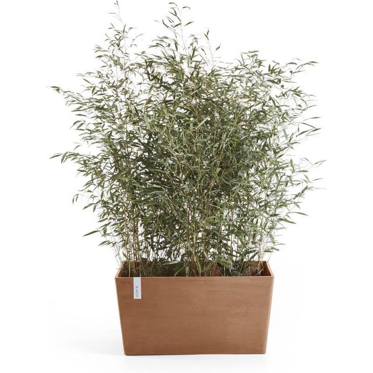 Kukkaruukku Ecopots Pariisi