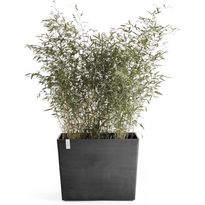 Kukkaruukku pyörillä Ecopots Pariisi, eri kokoja ja värejä