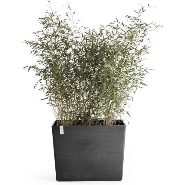 Kukkaruukku pyörillä Ecopots Pariisi