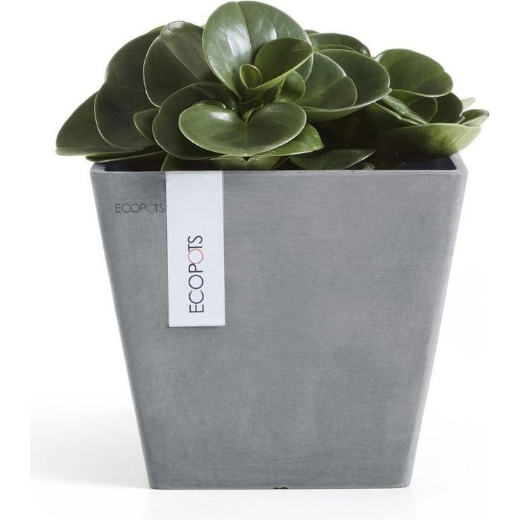 Kukkaruukku Ecopots Rotterdam