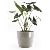 Kukkaruukku Ecopots Sankara, 40cm, eri värejä