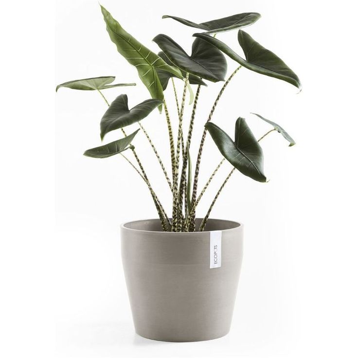 Kukkaruukku Ecopots Sankara, 40cm