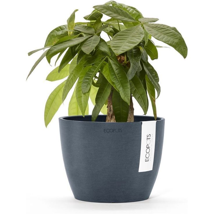Kukkaruukku Ecopots Tukholma, 16cm