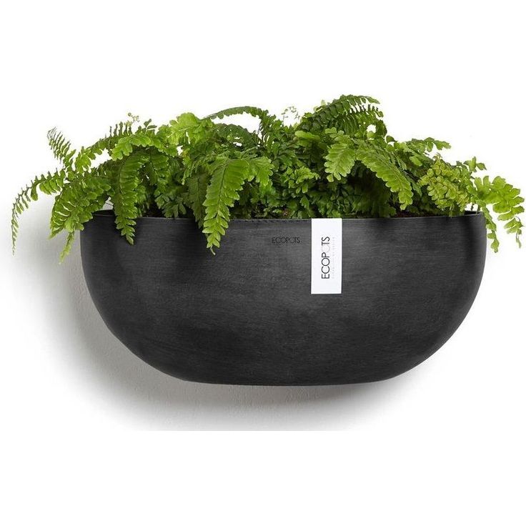 Seinäruukku Ecopots Sofia, 43cm