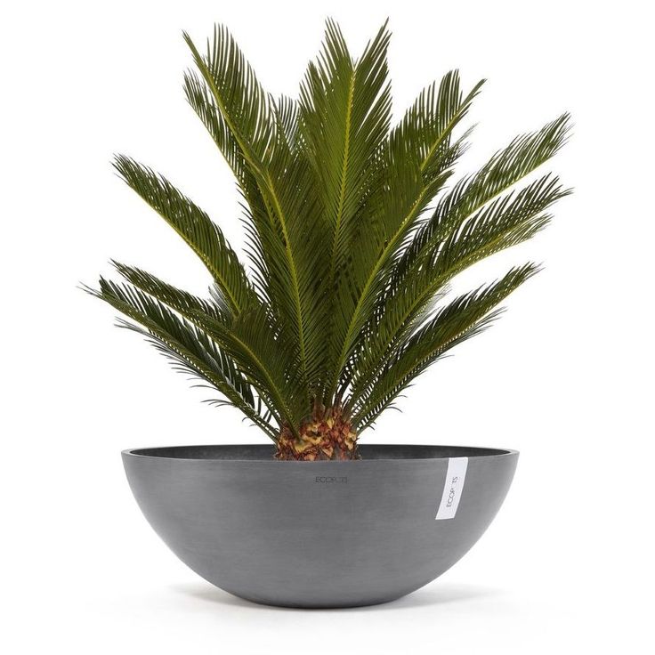 Kukkaruukku Ecopots Vienna