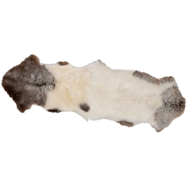 Lampaantalja Espegard, pitkä, tiibetiläinen lammas