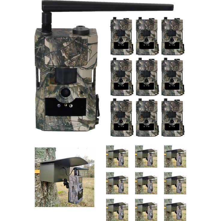 Riistakamera BolyGuard 584 BG584-T2 V2, 4G, 10 kpl, sis. 10 x 3 kk Molnus-SIM