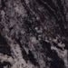 Forest Black