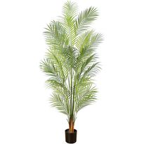 Tekokasvi Lykke Areca Palm, 150cm