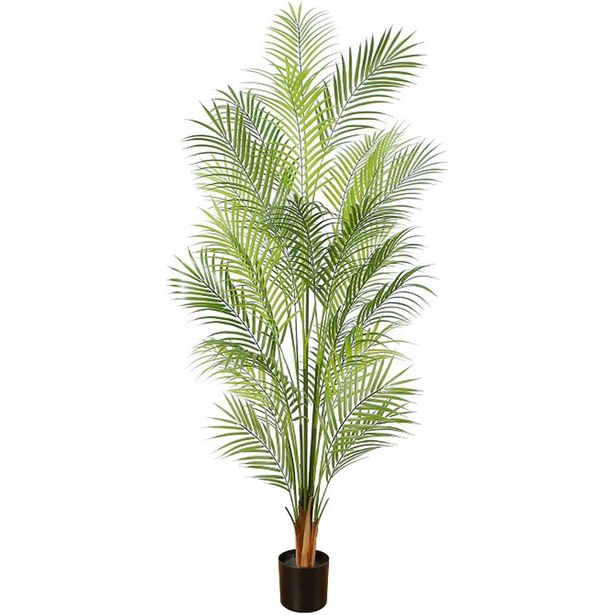 Tekokasvi Lykke Areca Palm, 150cm