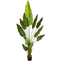 Tekokasvi Lykke Bird of Paradise, 200cm
