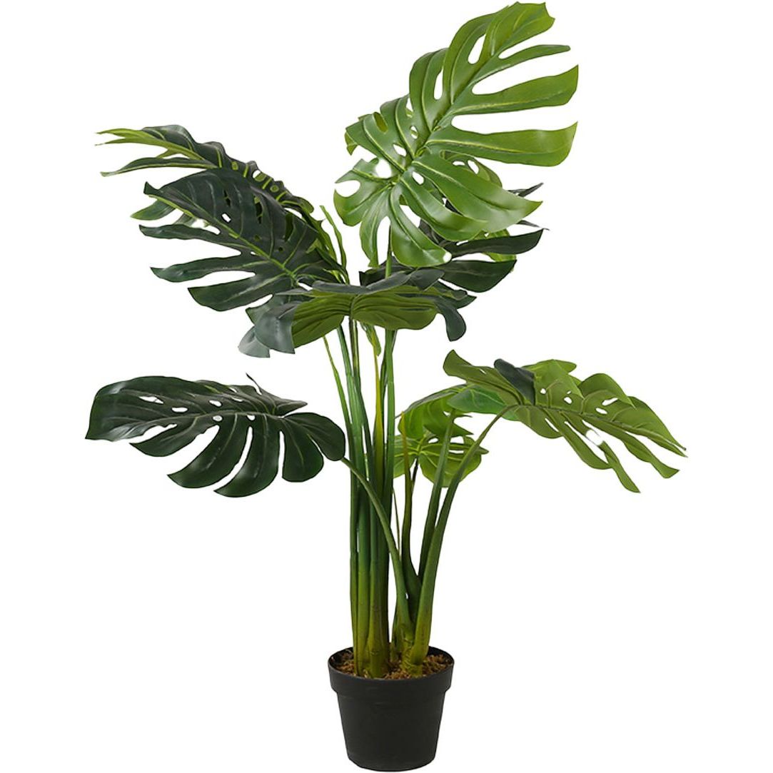 Tekokasvi Lykke Monstera Plant, 115cm