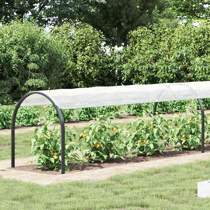 Kasvinsuoja silmukoilla 1x10 m polyeteeni (08683)