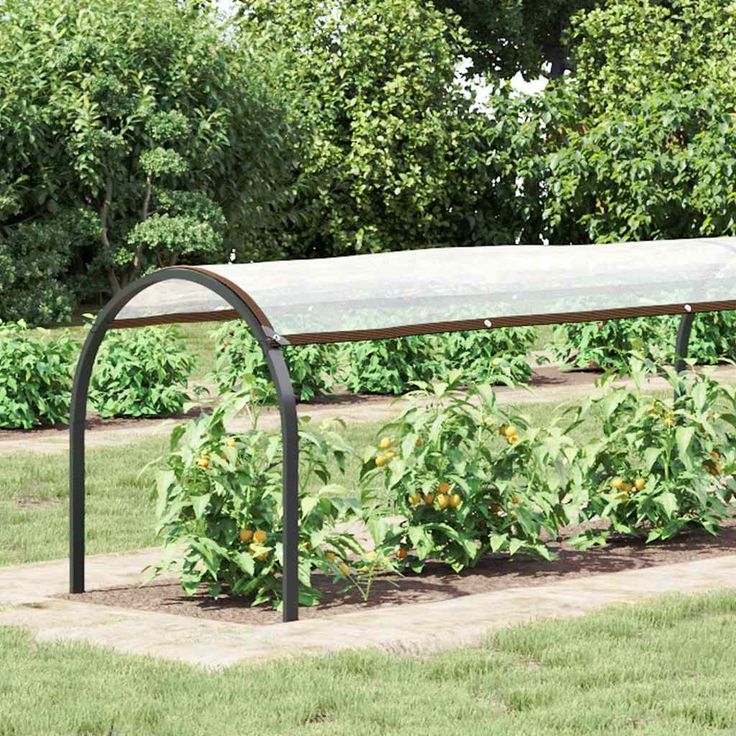 Kasvinsuoja silmukoilla 1x10 m polyeteeni (08699)