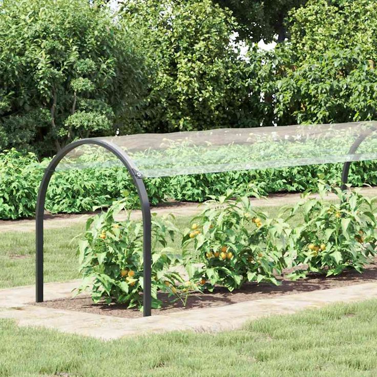 Kasvinsuoja silmukoilla 1x10 m PVC (08715)