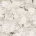Mallipala Rebel Walls Abstract News (REBR11591)
