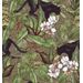 Mallipala Rebel Walls Alluring Panthers (REBR16801)