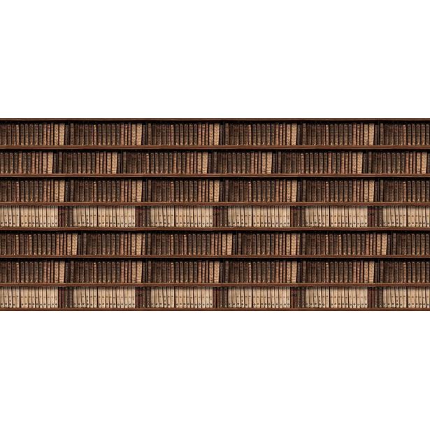 Kuvatapetti Rebel Walls Antique Books, non-woven, mittatilaus