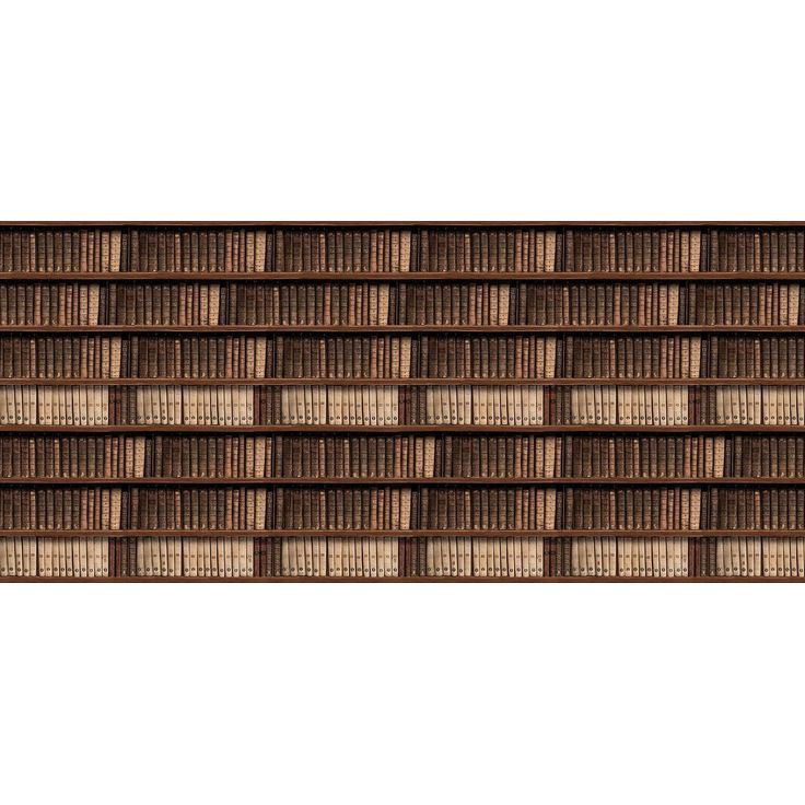 Kuvatapetti Rebel Walls Antique Books, non-woven, mittatilaus