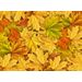 Mallipala Rebel Walls Autumn Leaves (REBR11931)