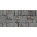Mallipala Rebel Walls Backyard (REBR15241)