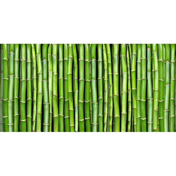 Kuvatapetti Rebel Walls Bamboo, non-woven, mittatilaus