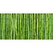 Mallipala Rebel Walls Bamboo (REBR11821)