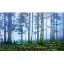 Maisematapetti Rebel Walls Blue Forest, non-woven, mittatilaus