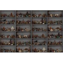 Kuvatapetti Rebel Walls Cabinet of Curios Night, non-woven, mittatilaus