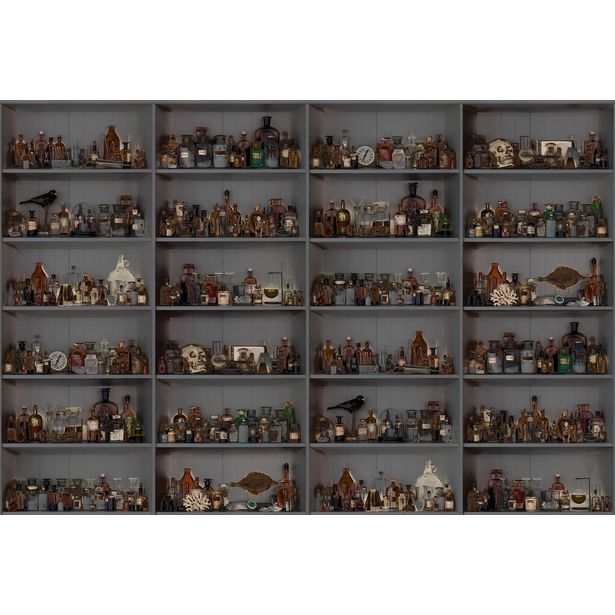 Kuvatapetti Rebel Walls Cabinet of Curios Night, non-woven, mittatilaus
