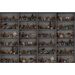 Mallipala Rebel Walls Cabinet of Curios Night (REBR14184)