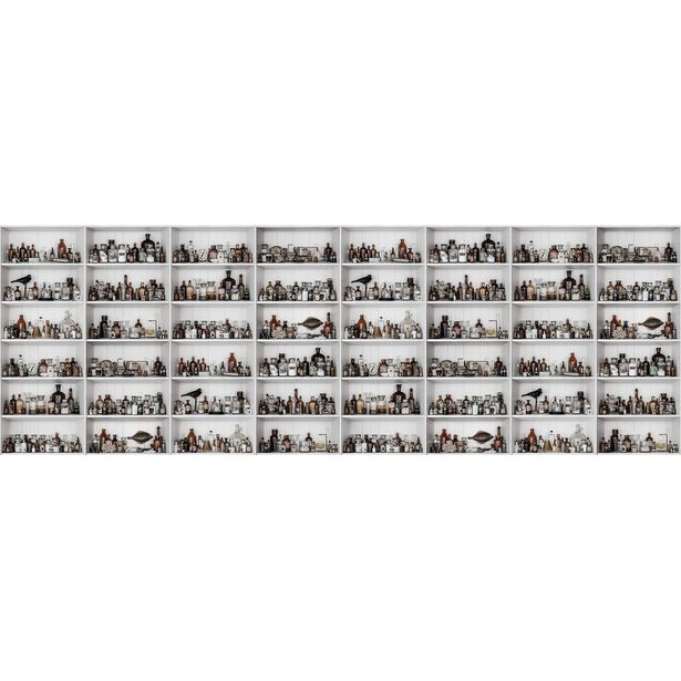 Kuvatapetti Rebel Walls Cabinet of Curios Raw, non-woven, mittatilaus