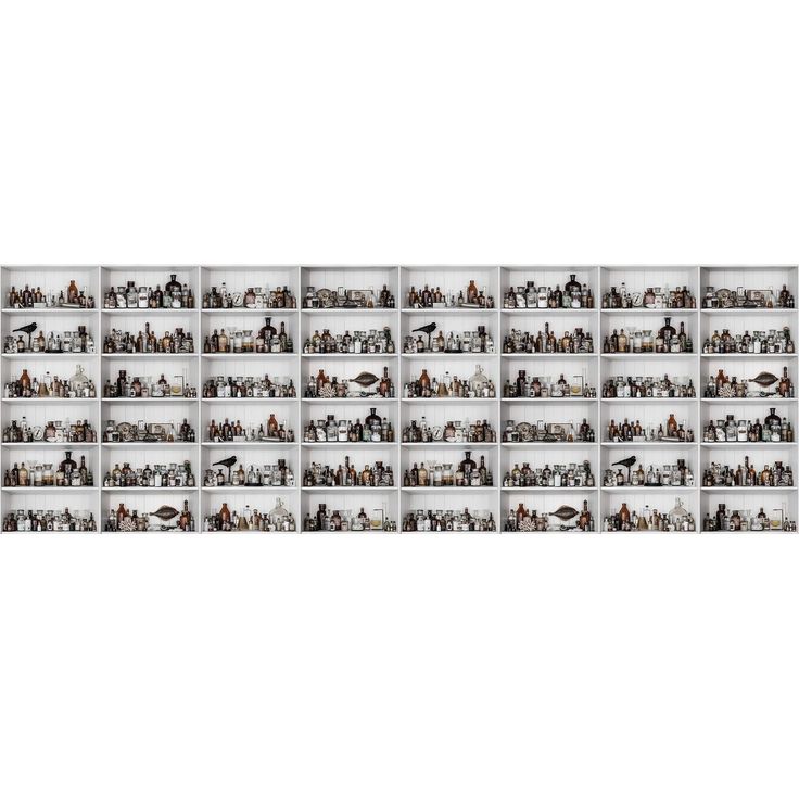 Kuvatapetti Rebel Walls Cabinet of Curios Raw, non-woven, mittatilaus
